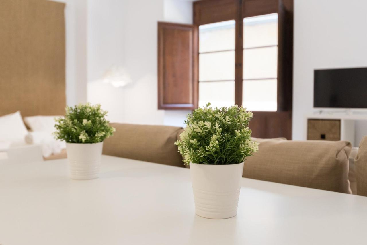 Santiago Premium Loft I *
