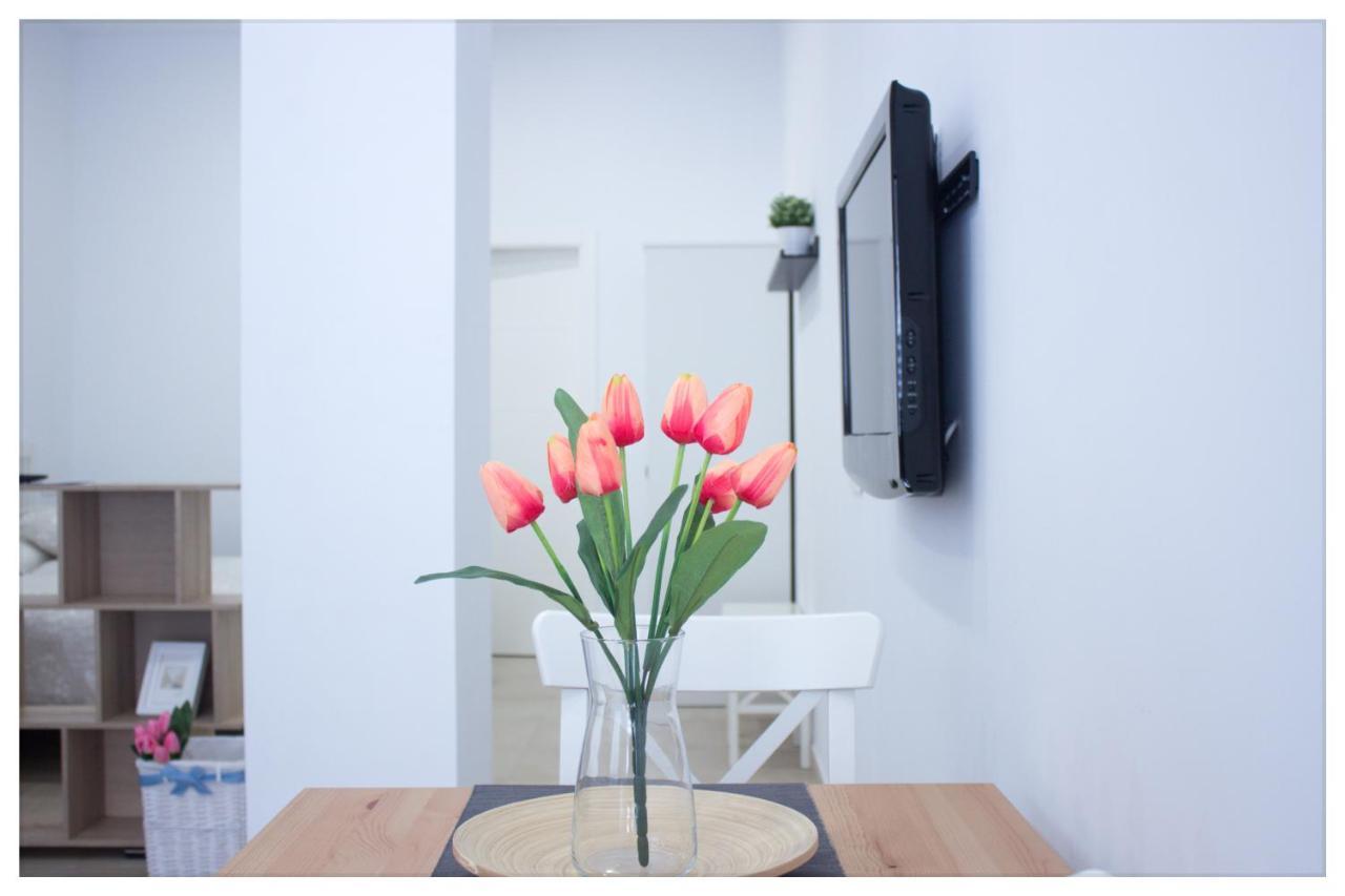 Estacion-centro Vialia Apartment Malaga