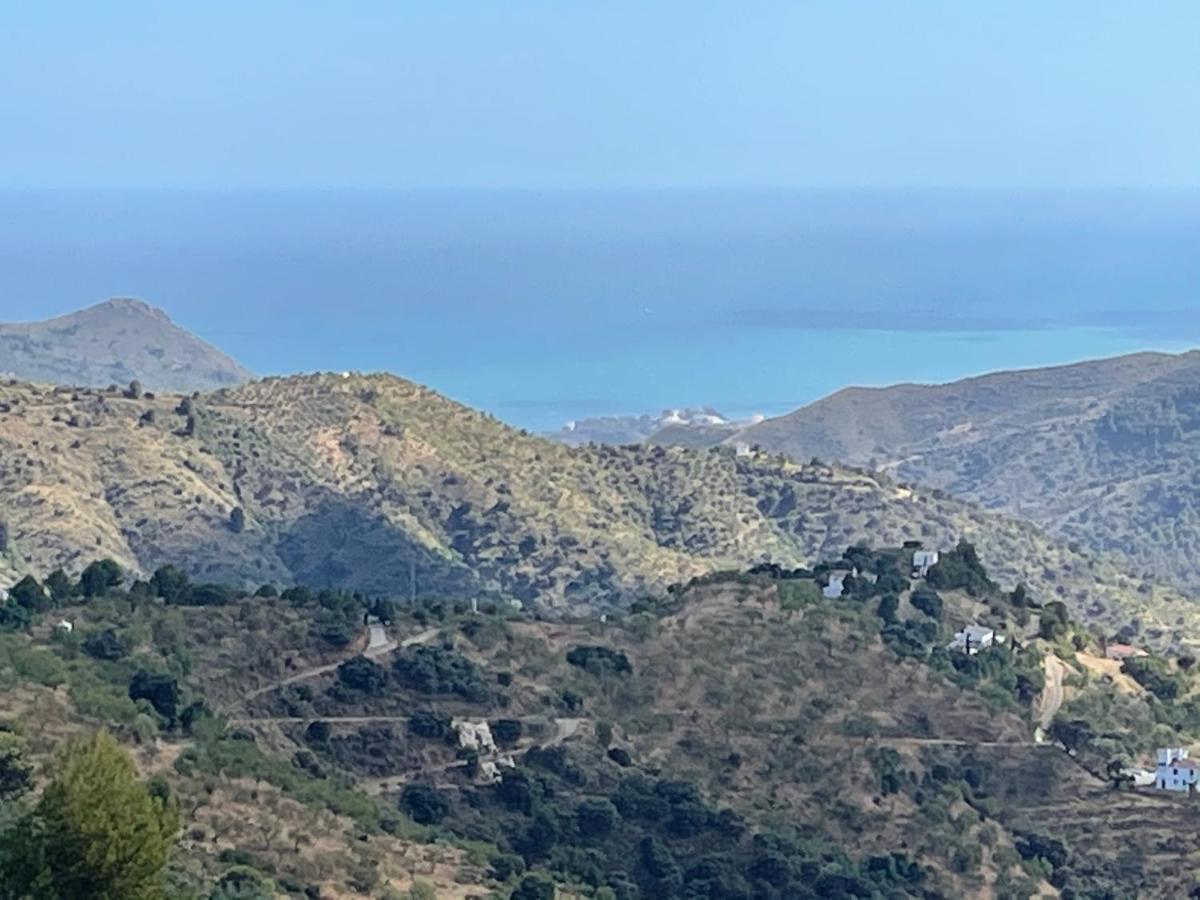 Casa Mara * Malaga