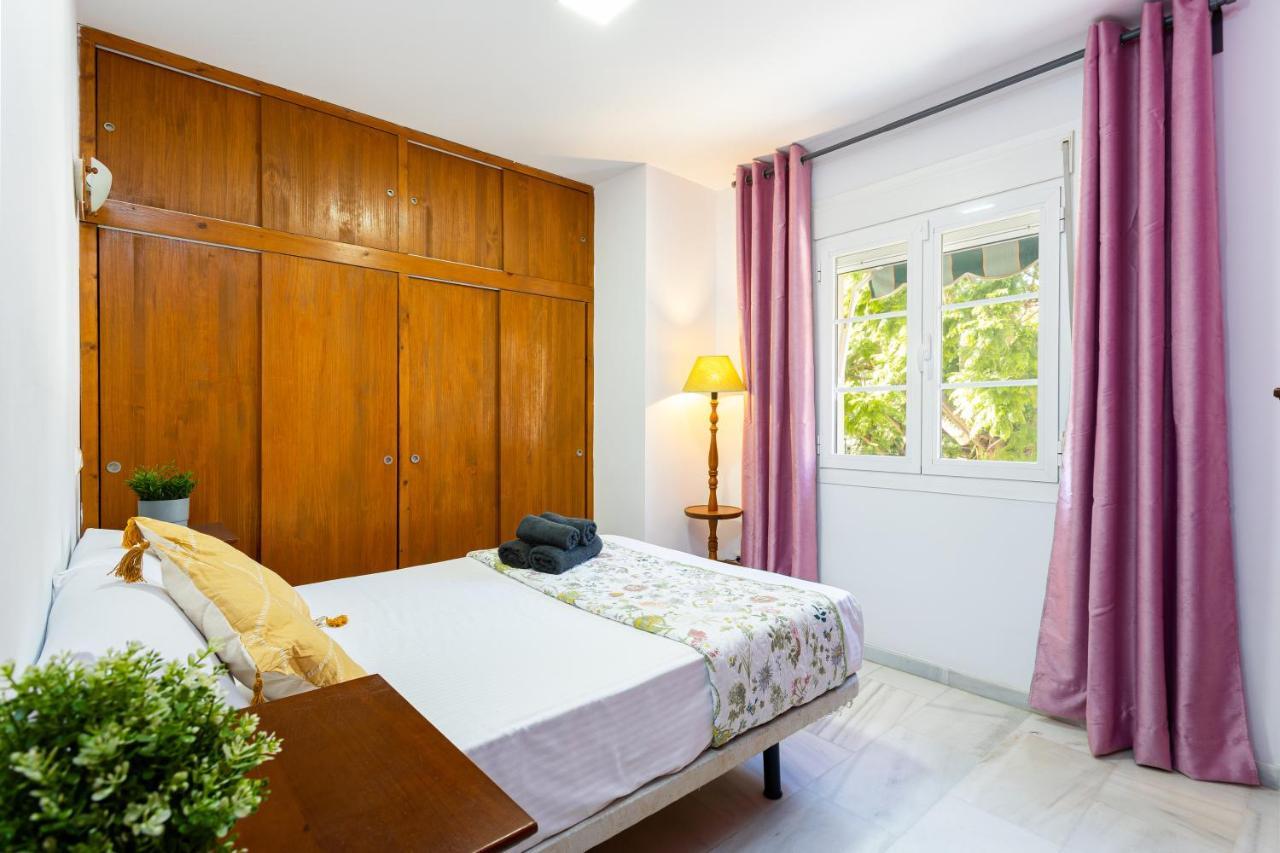 Holidays2malaga Montesa 700m From The Rooftop Terrace Apartment *