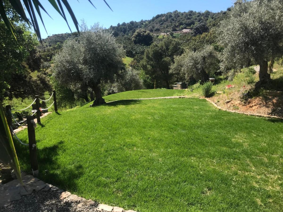 Views Apartment, Cortijo Fruitful Hills Apartment *