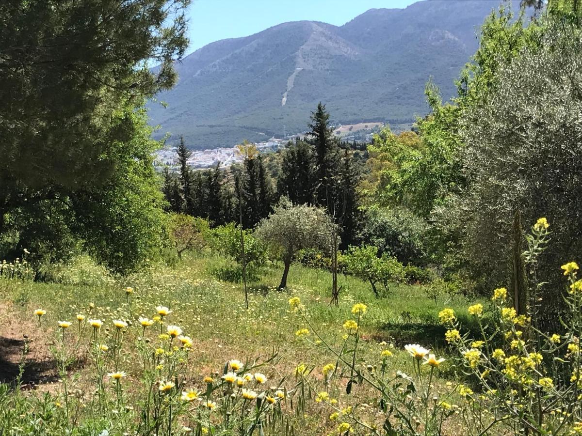 Views Apartment, Cortijo Fruitful Hills *