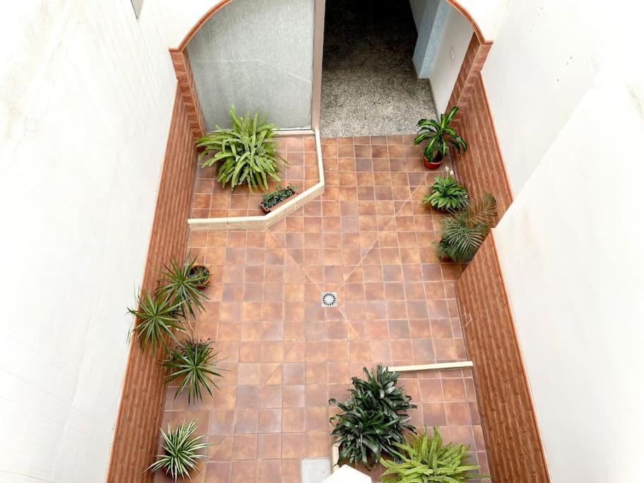 Acogedor En Centro Historico Apartment