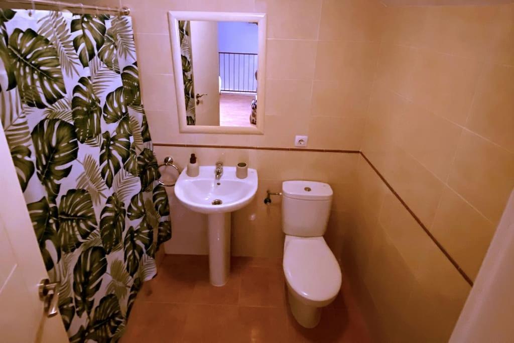 Apartment Acogedor Duplex En Centro Malaga