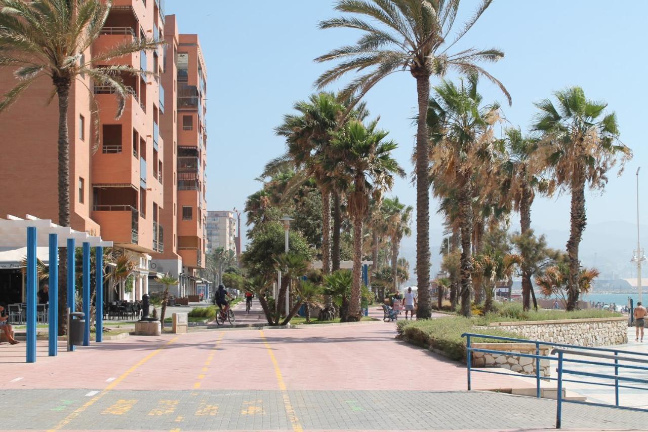 Pacifico 18 *