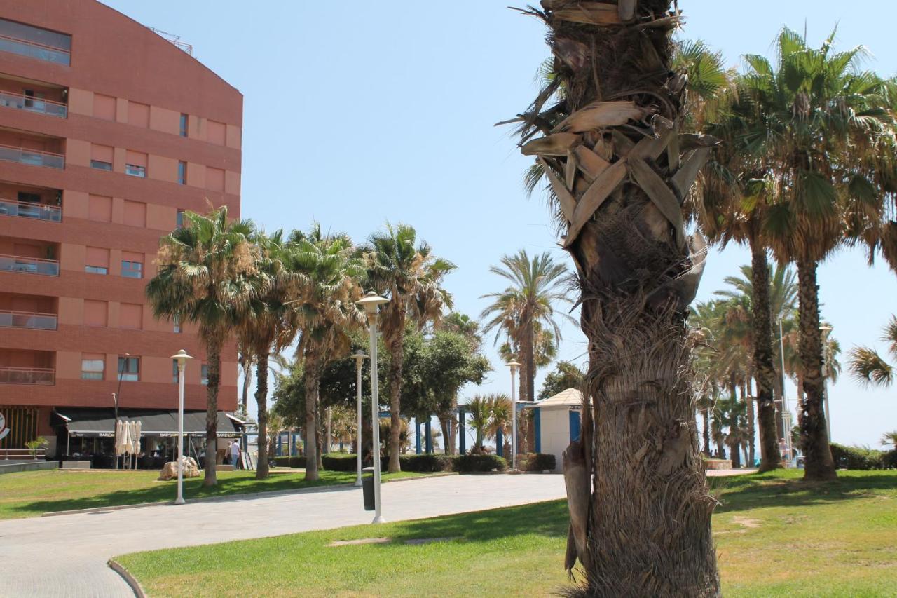 Pacifico 18 * Málaga
