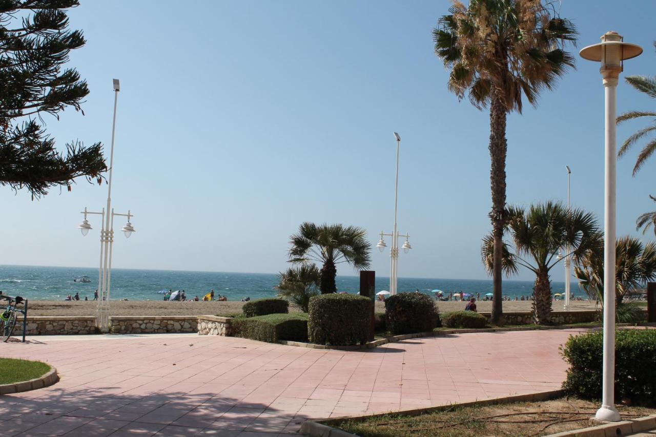 Pacifico 18 *