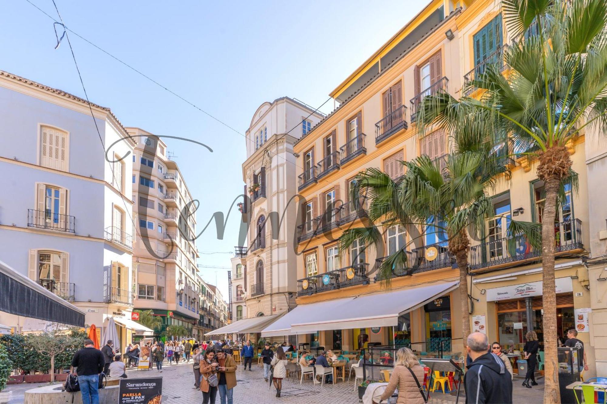 Apartment Tennessee Penthouse Malaga