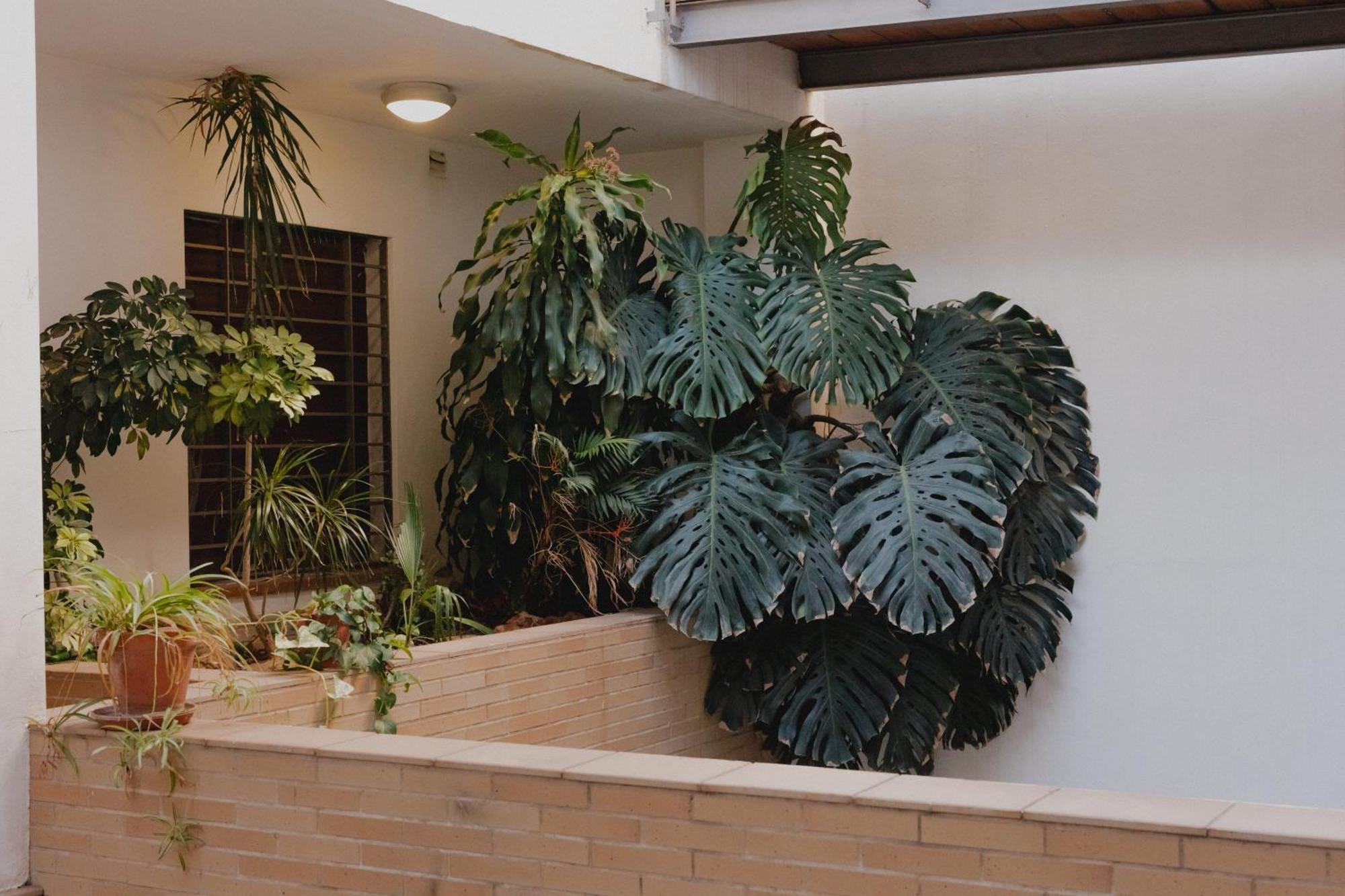 Zamorano Apartment *