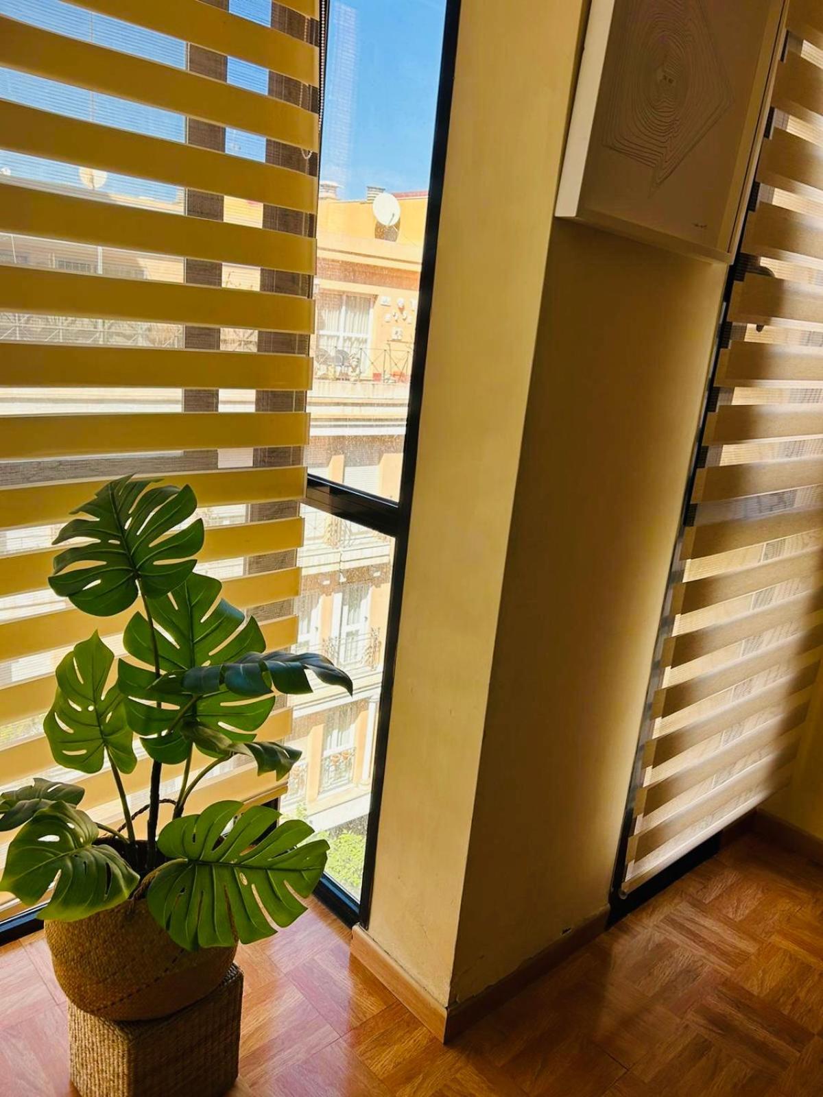 Terrace Relax Apartment. & Apartment Malaga