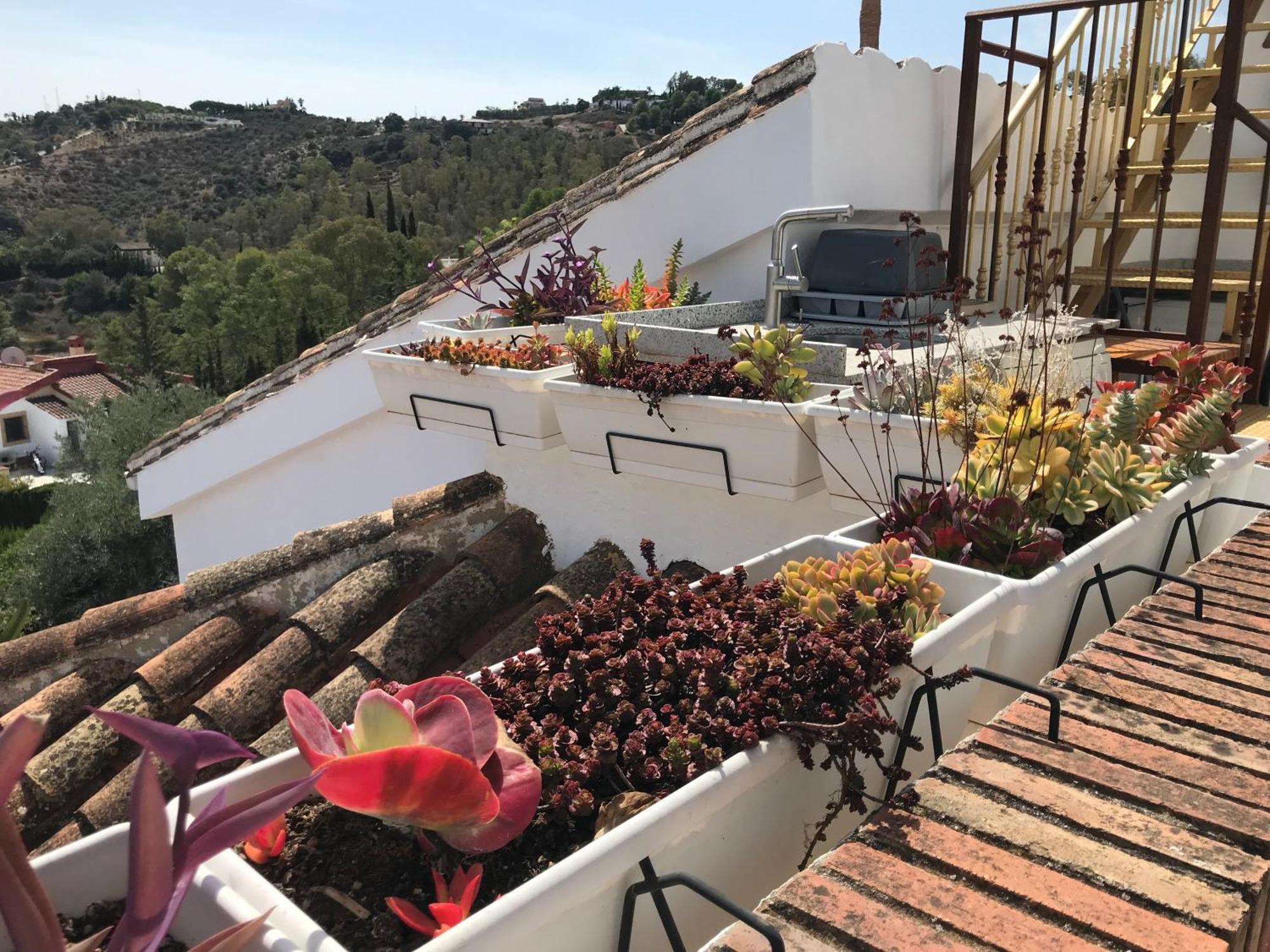 Views Apartment, Cortijo Fruitful Hills * Malaga