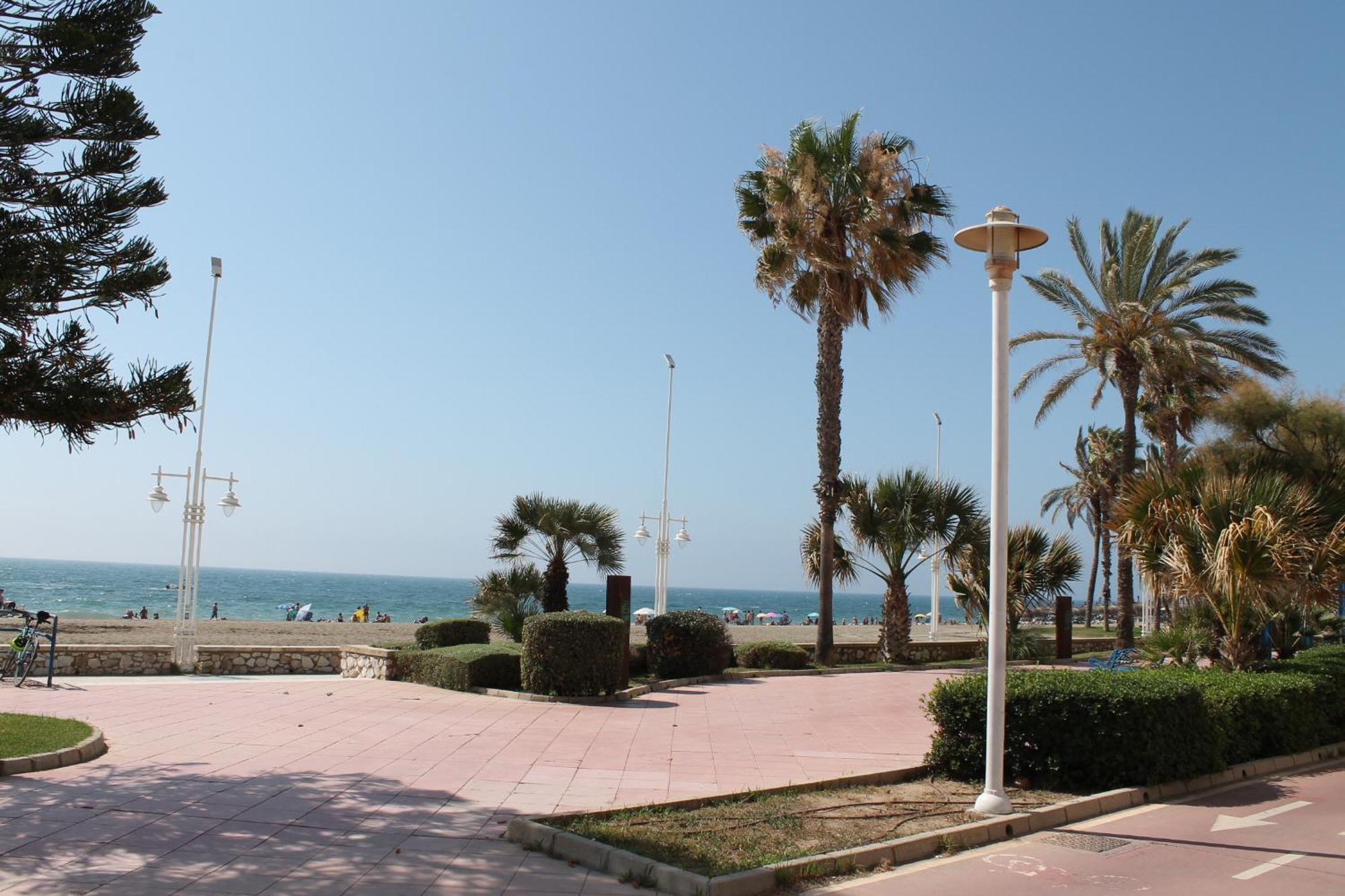 Pacifico 18 * Málaga