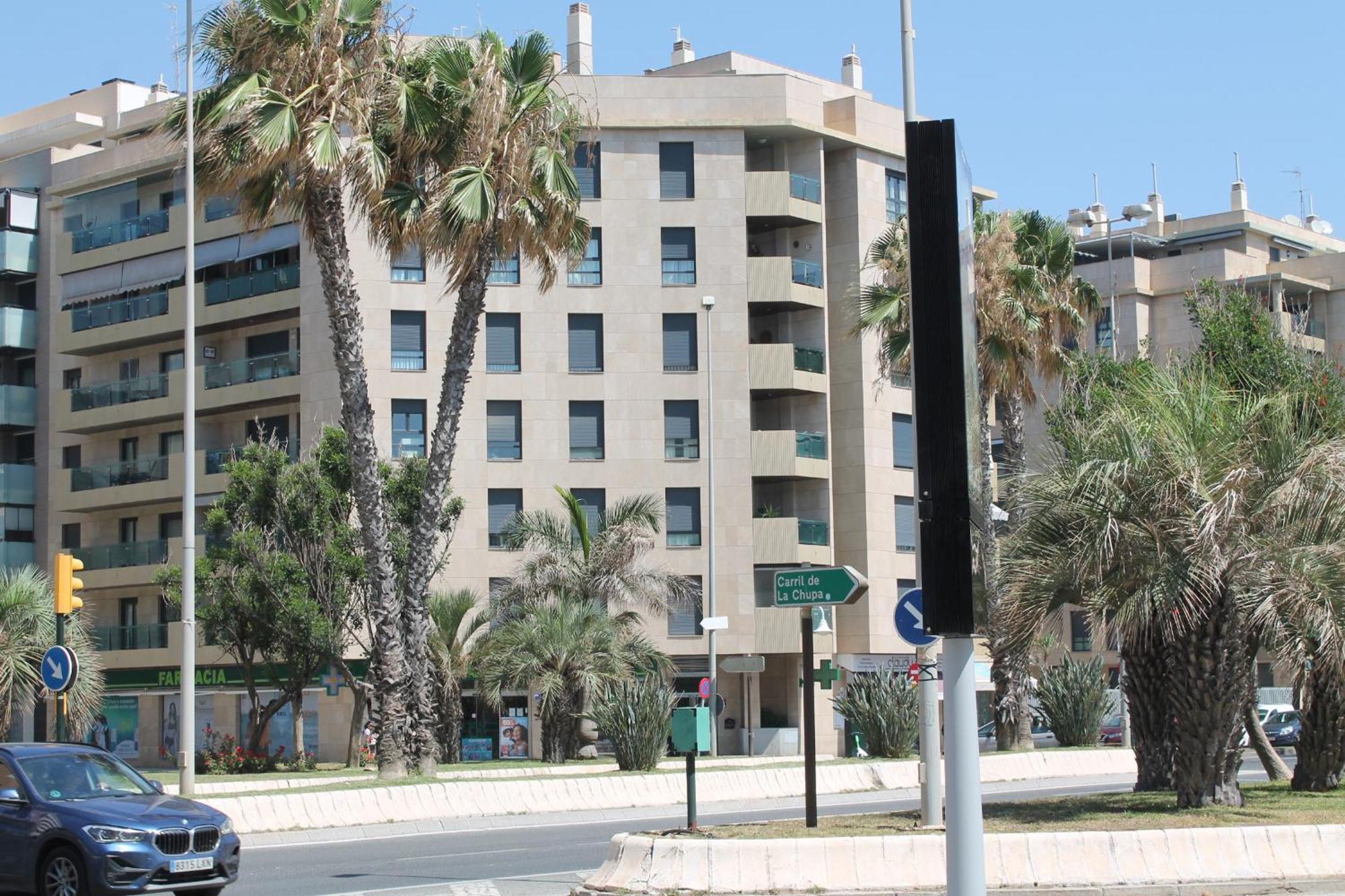 Pacifico 18 * Málaga