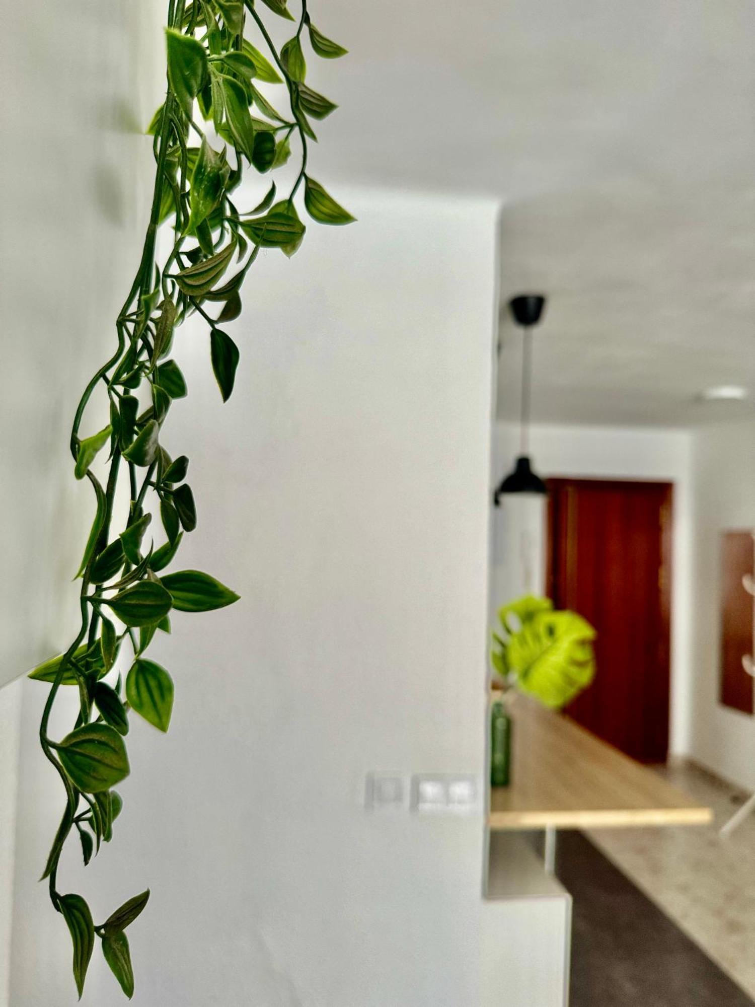 Acogedor En Apartamento Málaga