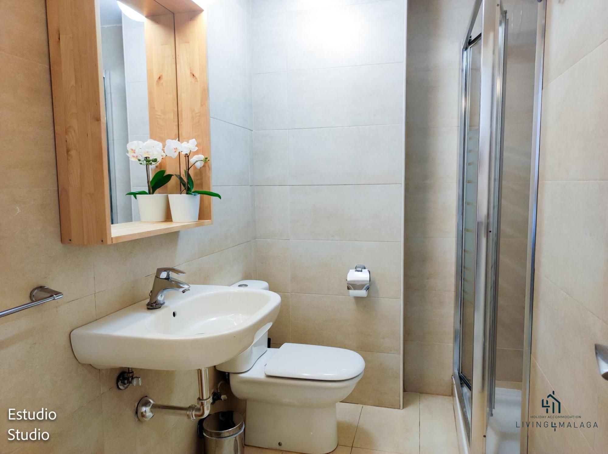 Living4malaga Superior Apartment Málaga