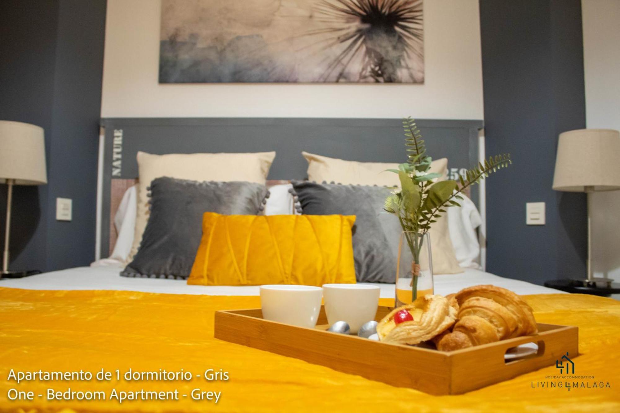 Apartment Living4malaga Superior