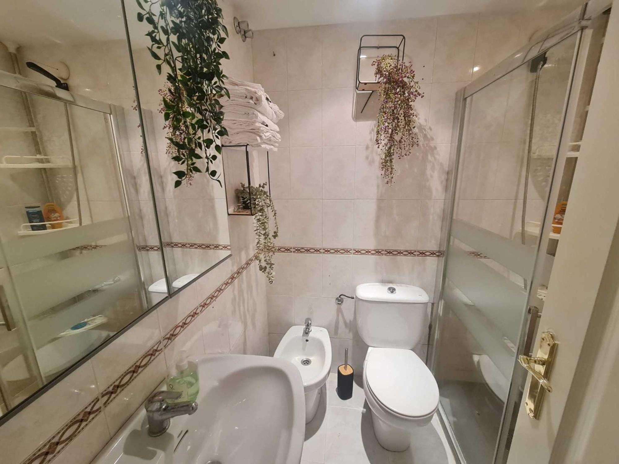 Apartamento Rey Centro 3rooms Cerca Del Centro Historico