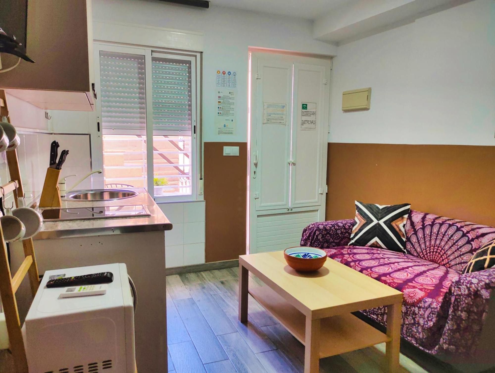 Premium With Terrace Apartment