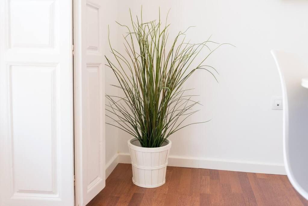 Apartamento Sunny Málaga