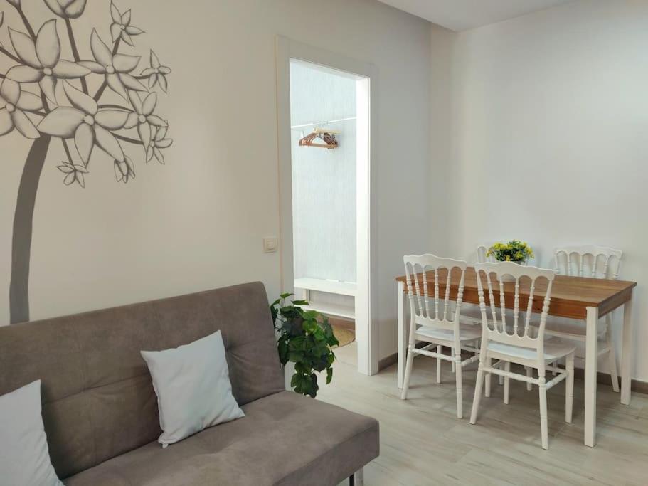 Estudio Con Gran Terraza Junto Al Centro Historico *