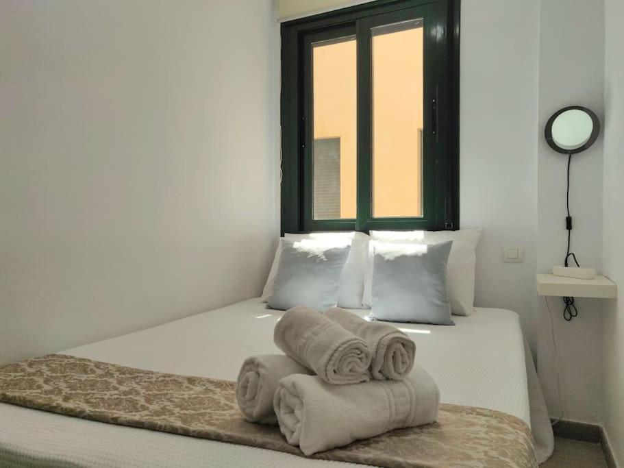 Estudio Con Gran Terraza Junto Al Centro Historico *