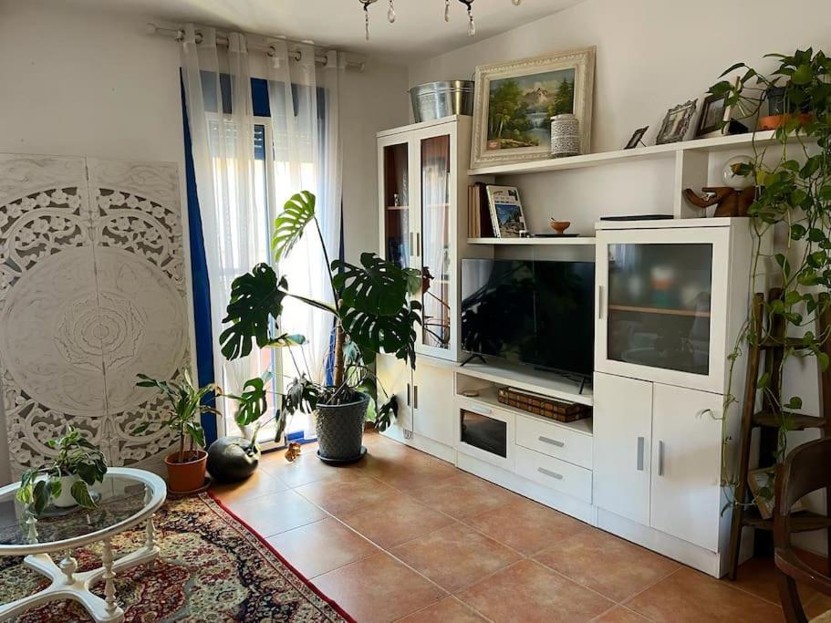 Casa Trini Apartamento *