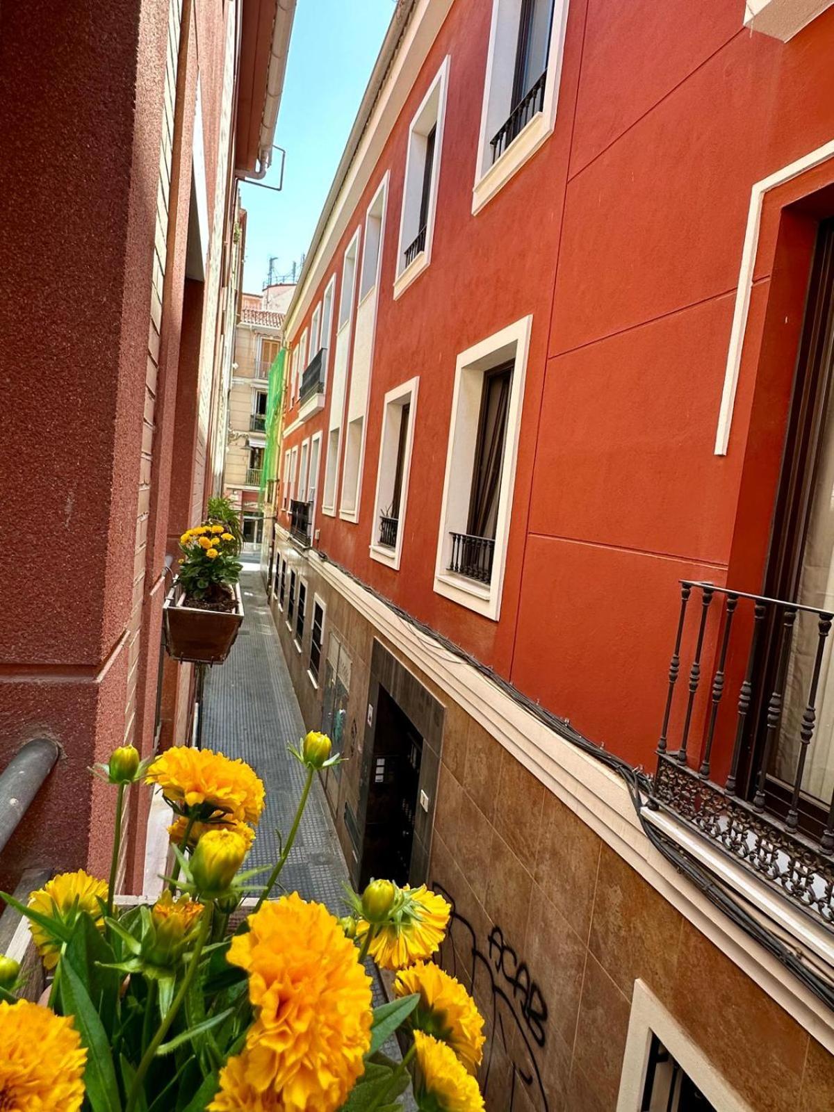 Apartment Corazon Centro Historico *