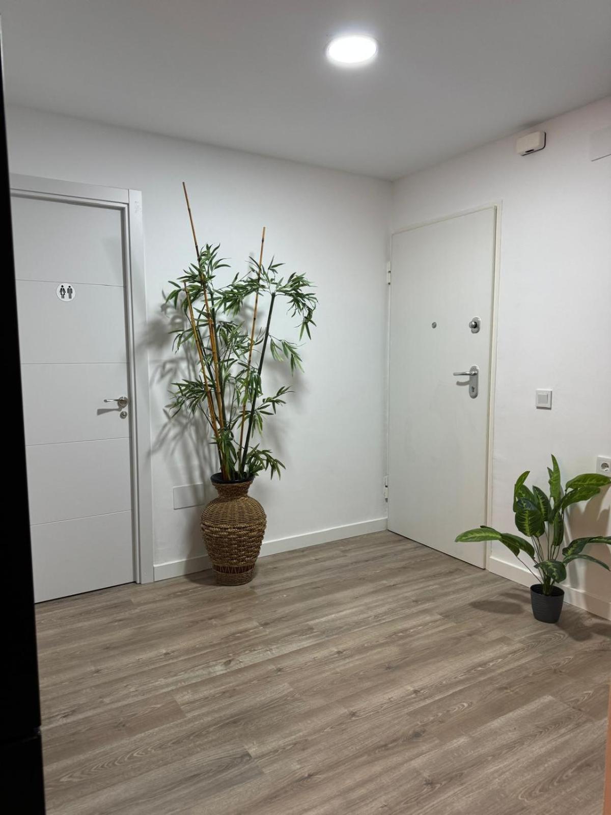 Linerlife Malaga
