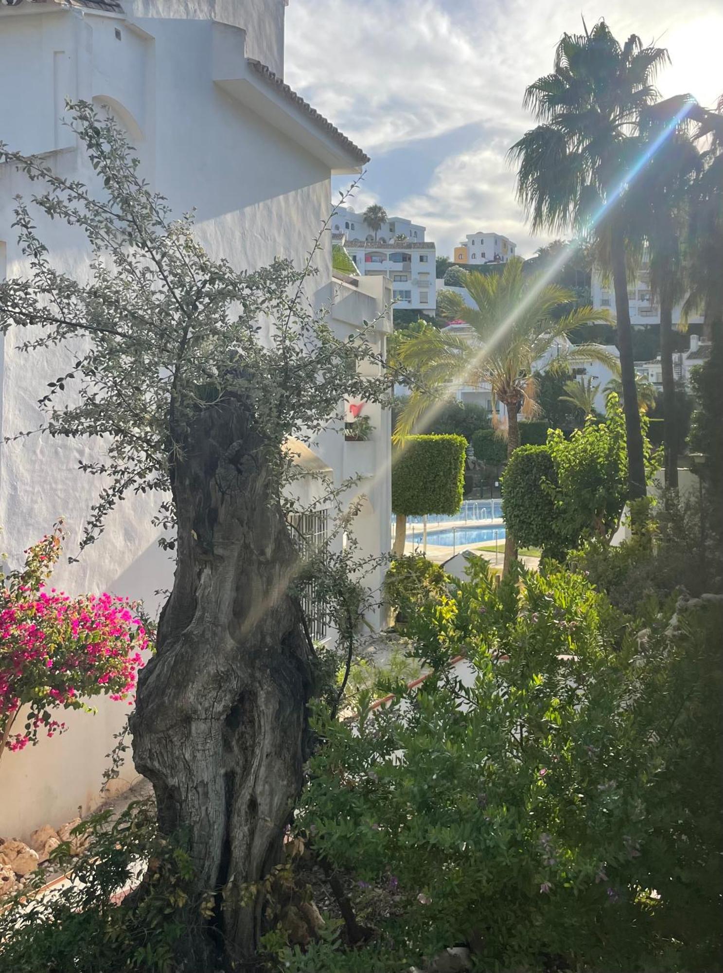 Two Bedroom, Two Bathroom, Balcony, Pool Area, View Apartamento