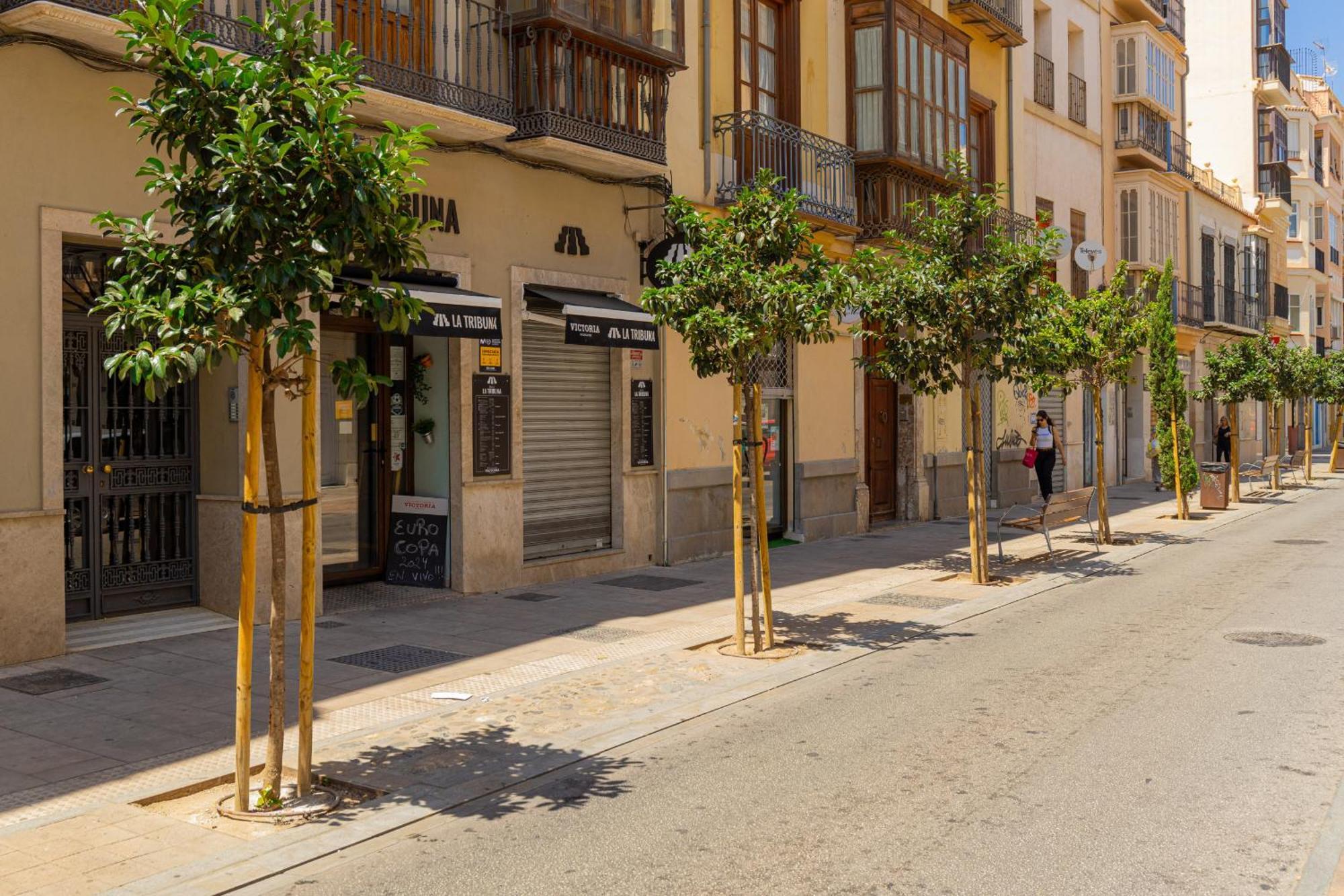 Apartment C103 - Sunny Terrace, Old Town Views Malaga
