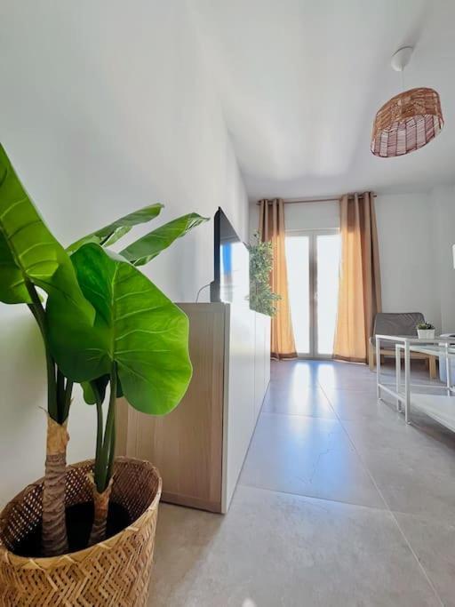 Lovely Close By Center Apartment