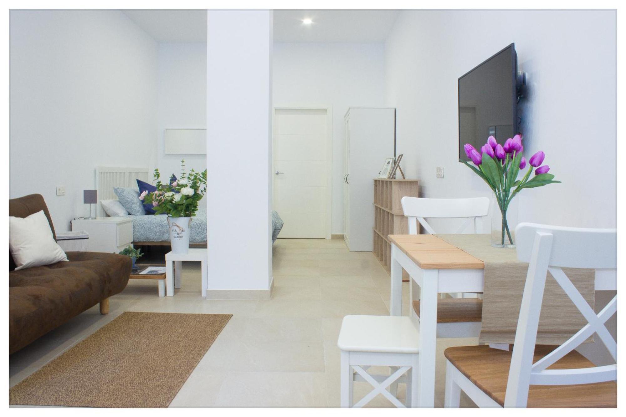 Estacion-centro Vialia Apartment Malaga
