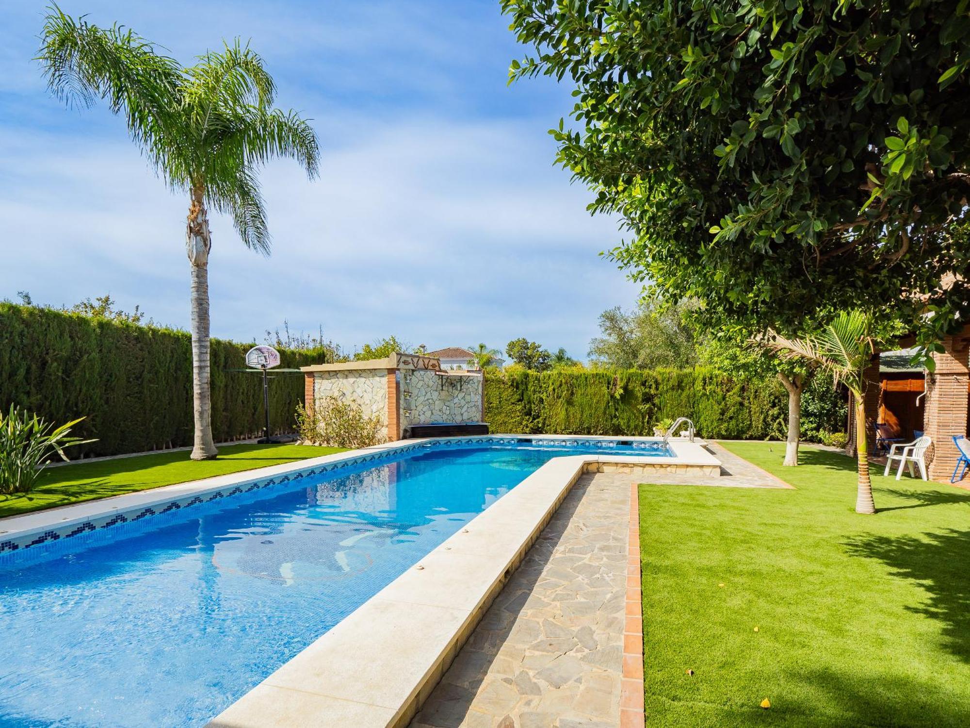 Paraiso Malvinas * Malaga