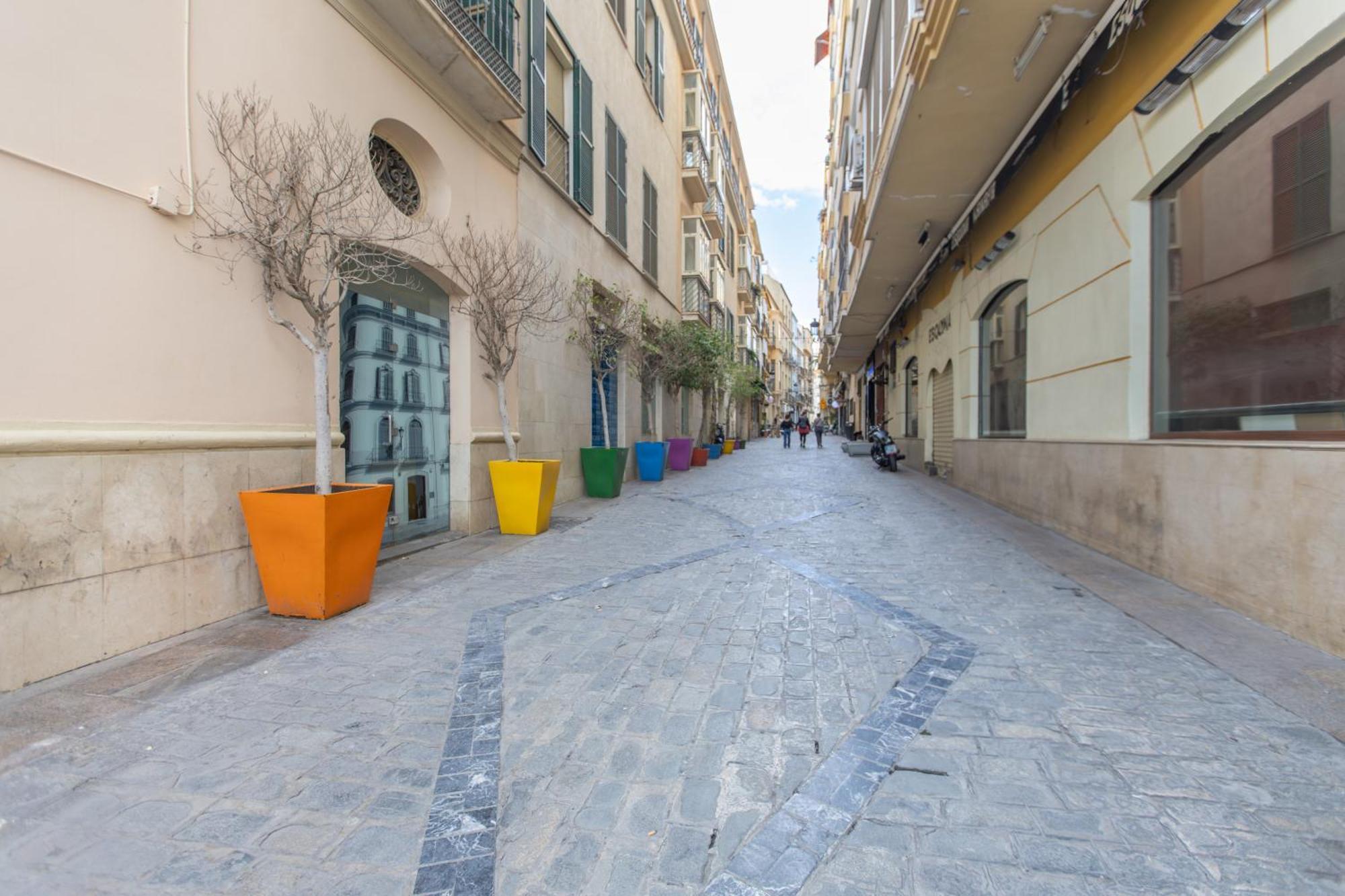Homely San Juan De Letran Con Terraza Apartment Malaga