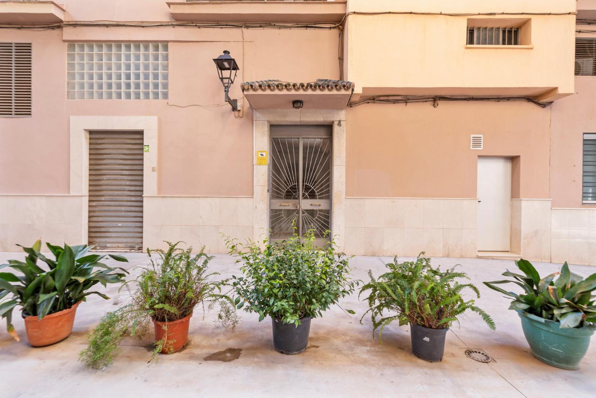 Picasso House Málaga