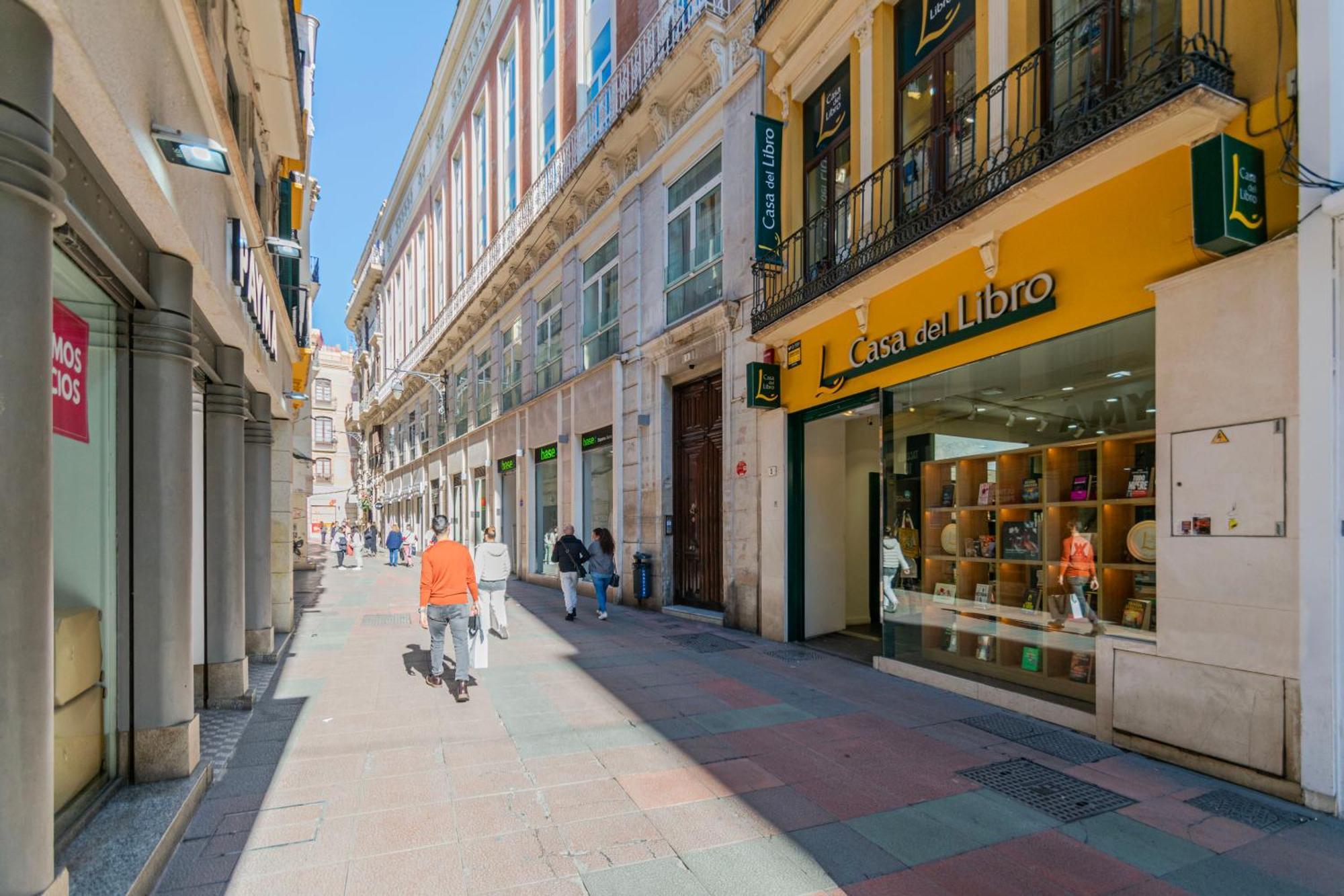 Apartment Inmalaga Luxury Loft 3