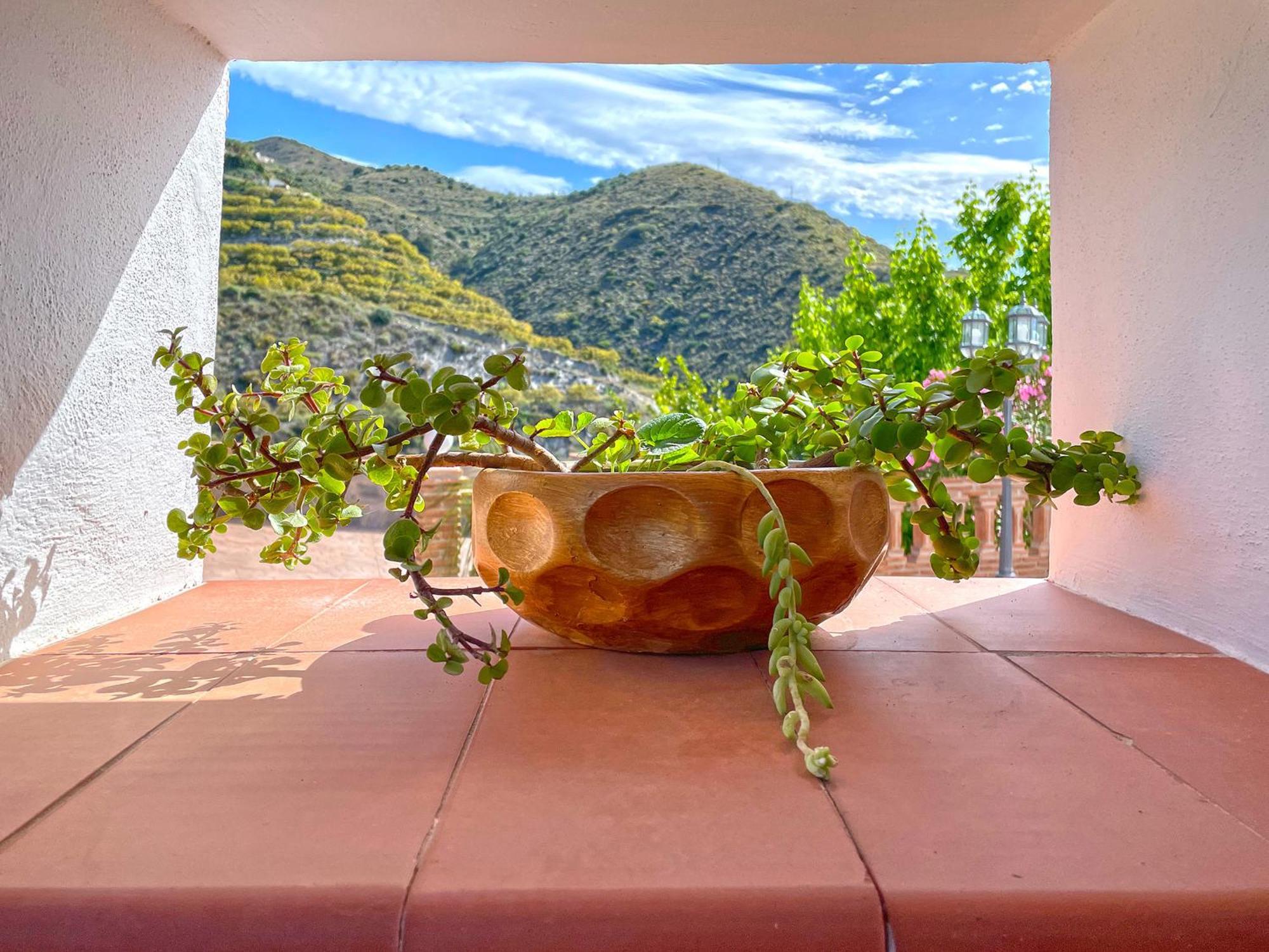 Villa Francisca Malaga