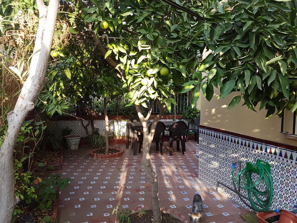 Patricia Homestay