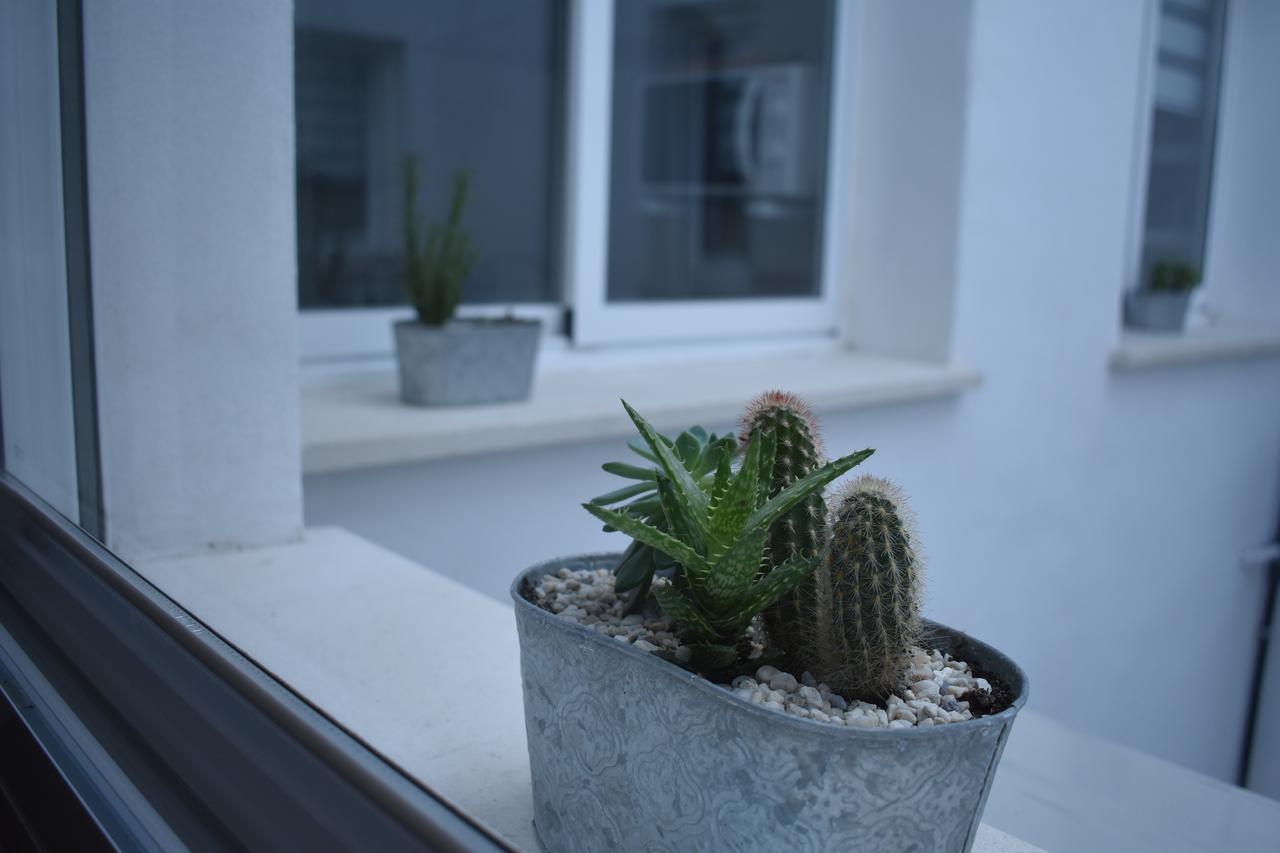 Apartment Casa Al Sur