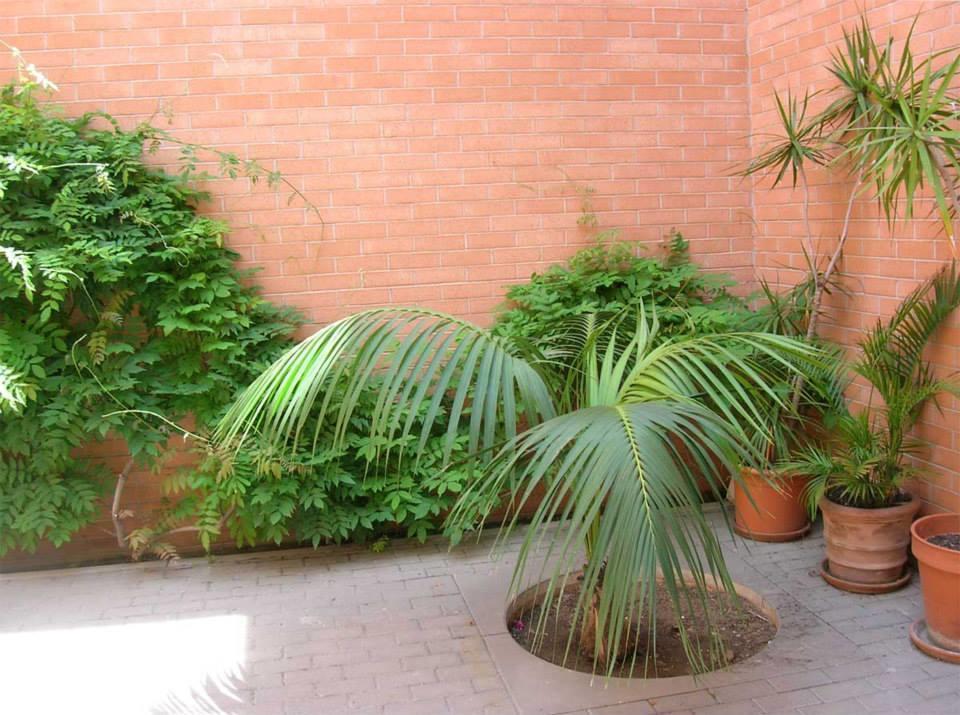 Residencia Universitaria Alberto Jimenez Fraud *