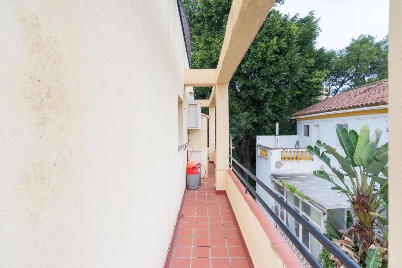Zapata Apartment