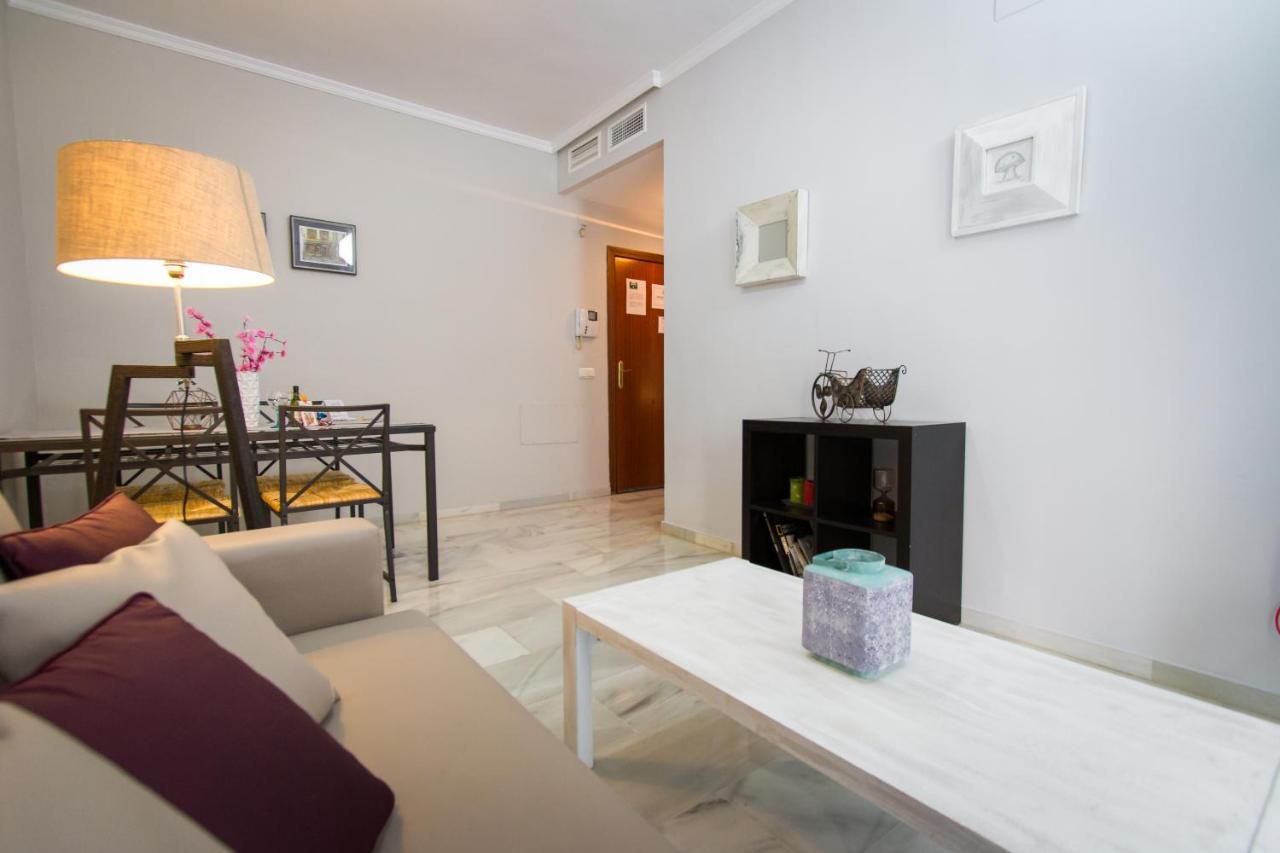 Apartment Holidays2malaga Sebastian Souviron High Speed Wifi Malaga