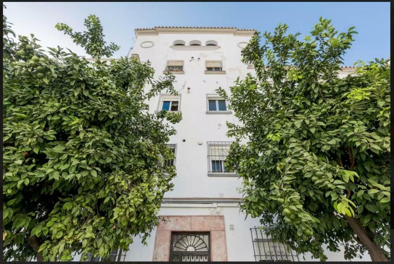 Milagros 110 M2 Málaga