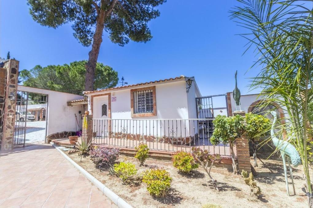 Oasis Malaga