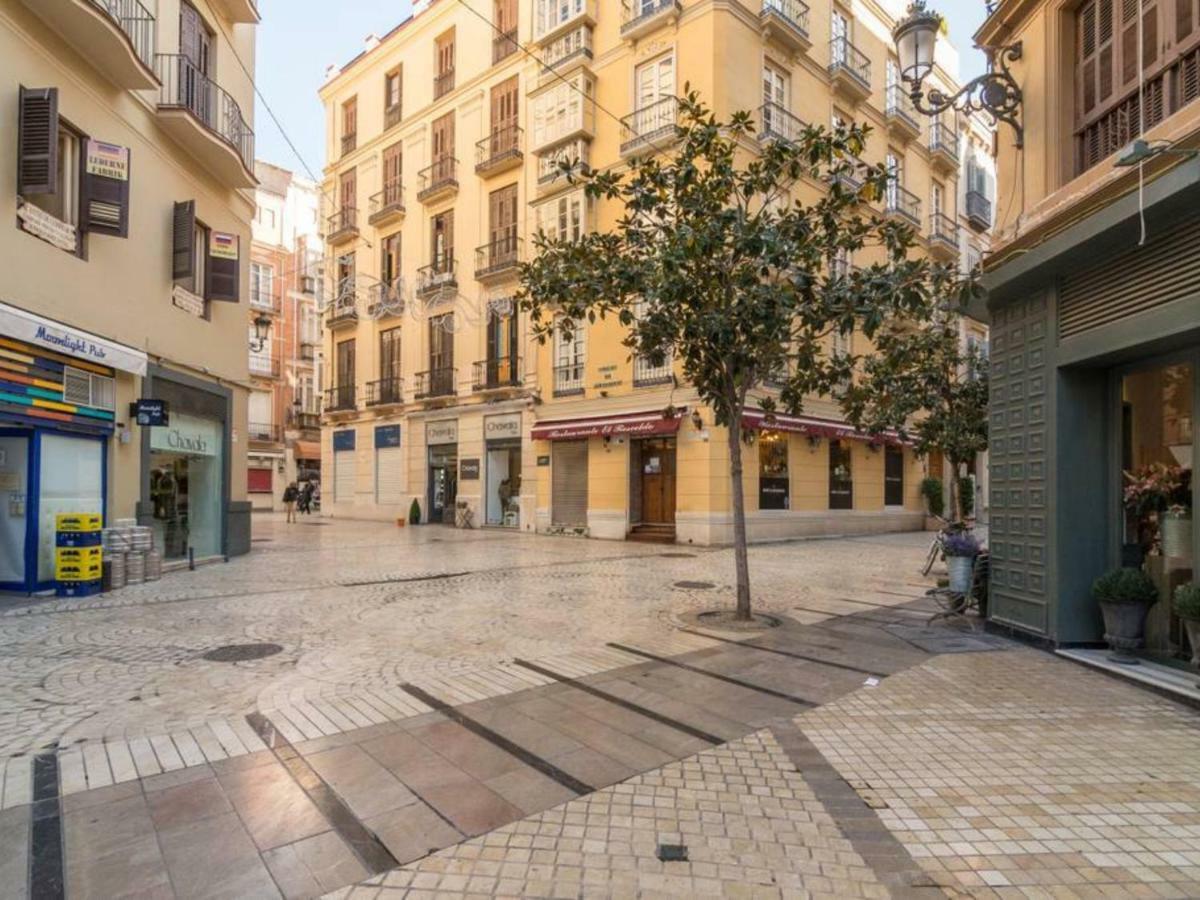 Larios Penthouse With Terrace And 2 Bedrooms Appartement *