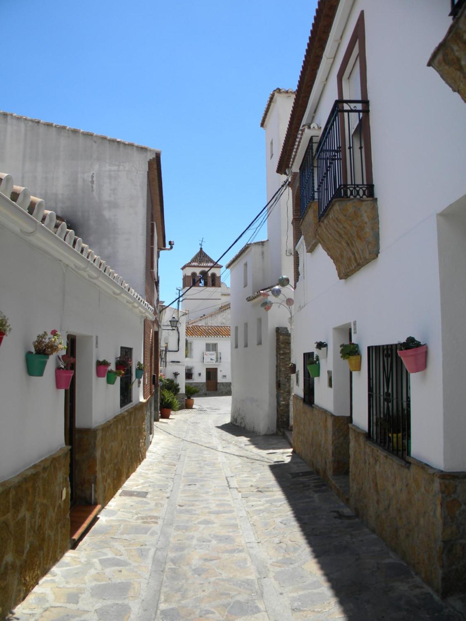 Moclinejo House *