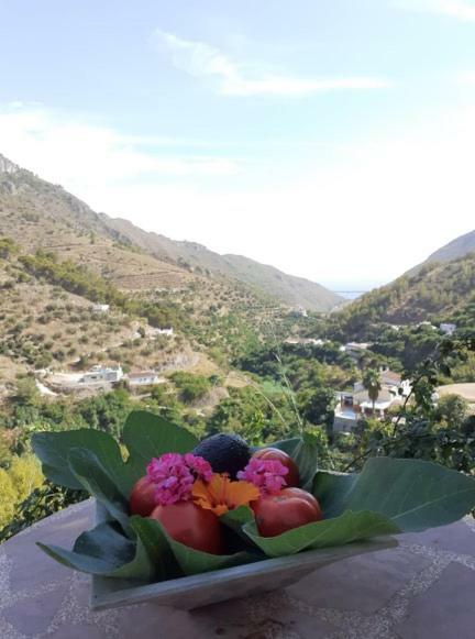Cortijo Buenavista Ferienhaus *