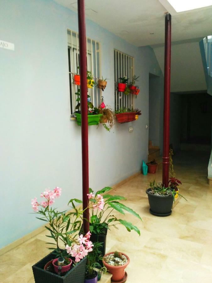 Apartment Pena *