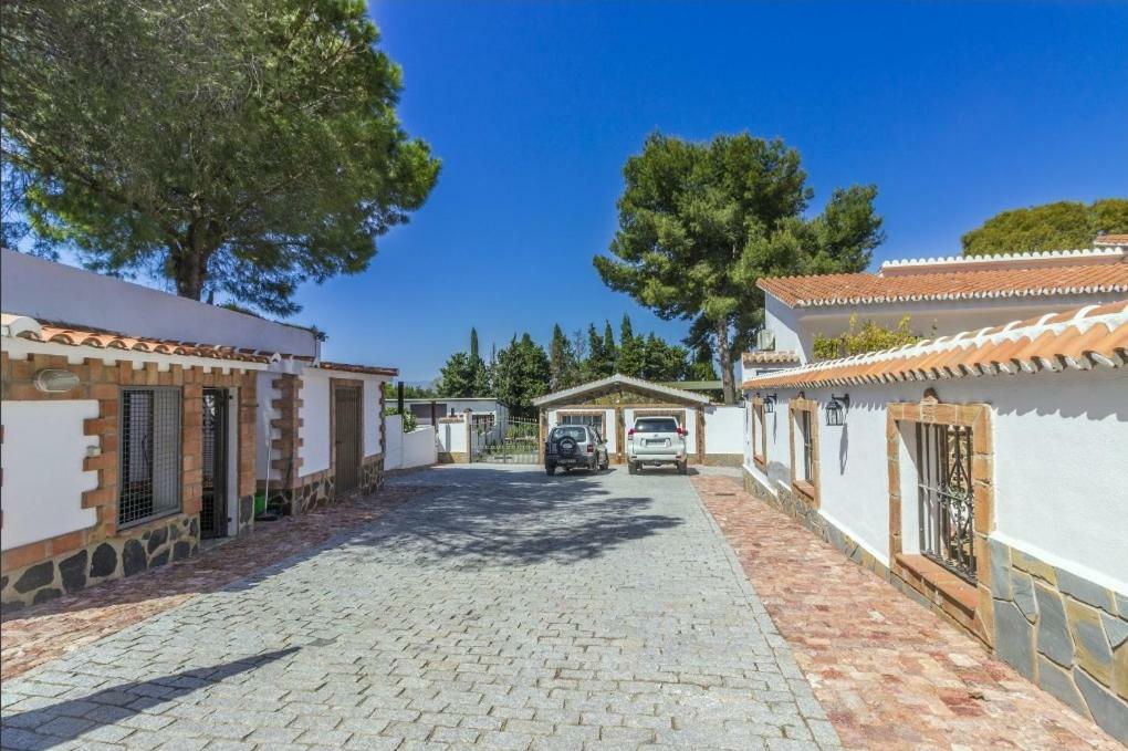 Apartment Oasis Malaga