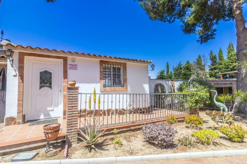 Oasis Apartment Malaga
